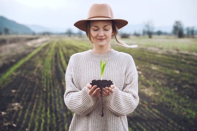 Young,Plant,In,Hands,In,Background,Of,Agricultural,Field,Area.